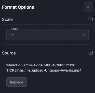 Format-Optionen Video-Widget