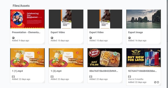 Dateien-Assets-Auswahl Video-Widget