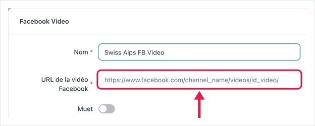 Paramètres Facebook Video : Nom, URL de la vidéo Facebook, Muet