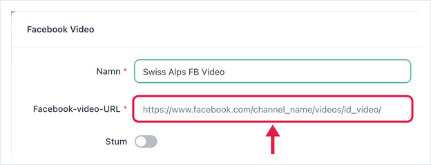Inställningar för Facebook Video: Namn, Facebook Video-URL, Stum