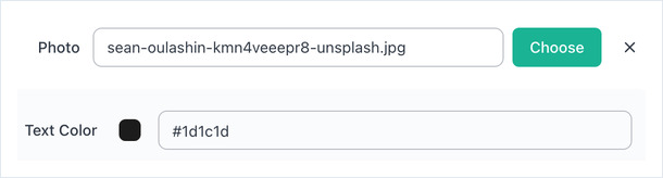 Photo and Text Color fields shown when Slack Theme is selected